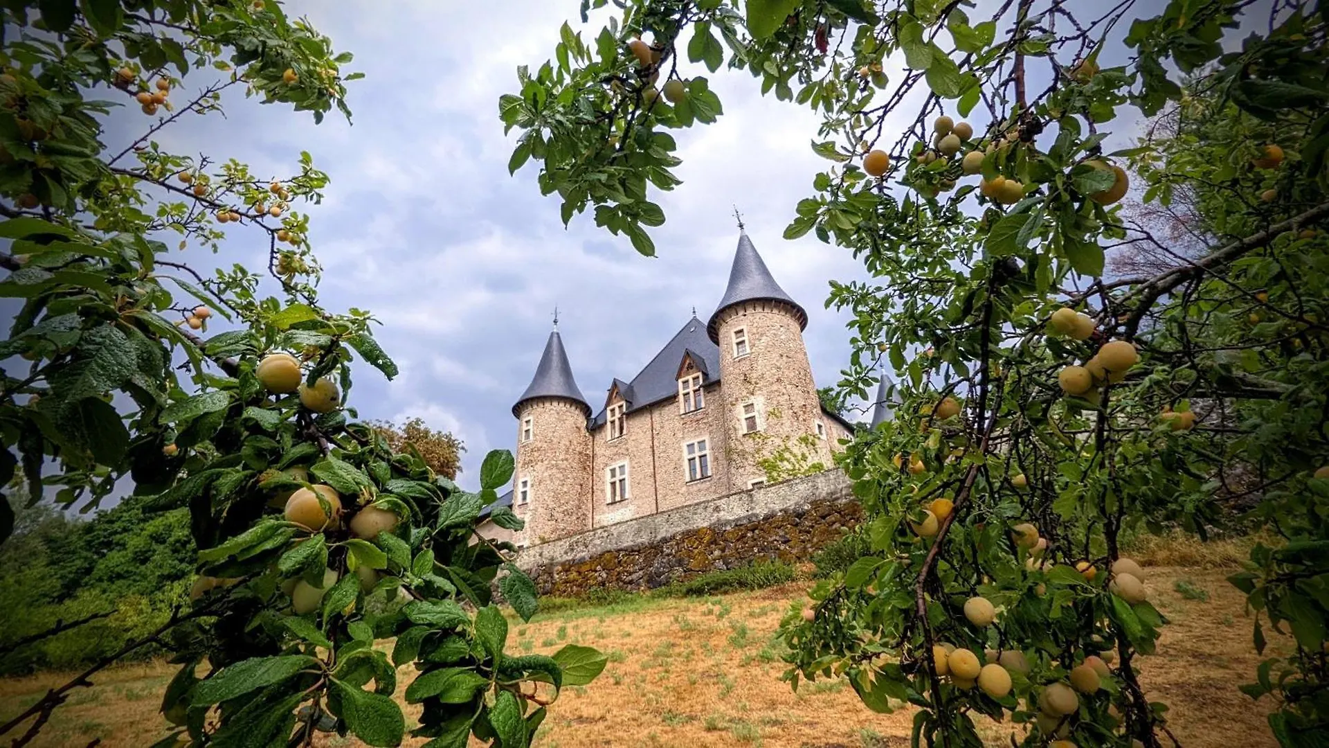 Chateau De Picomtal Crots Hotel